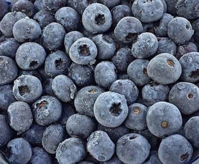 Arándanos congelados Alif 1 kg